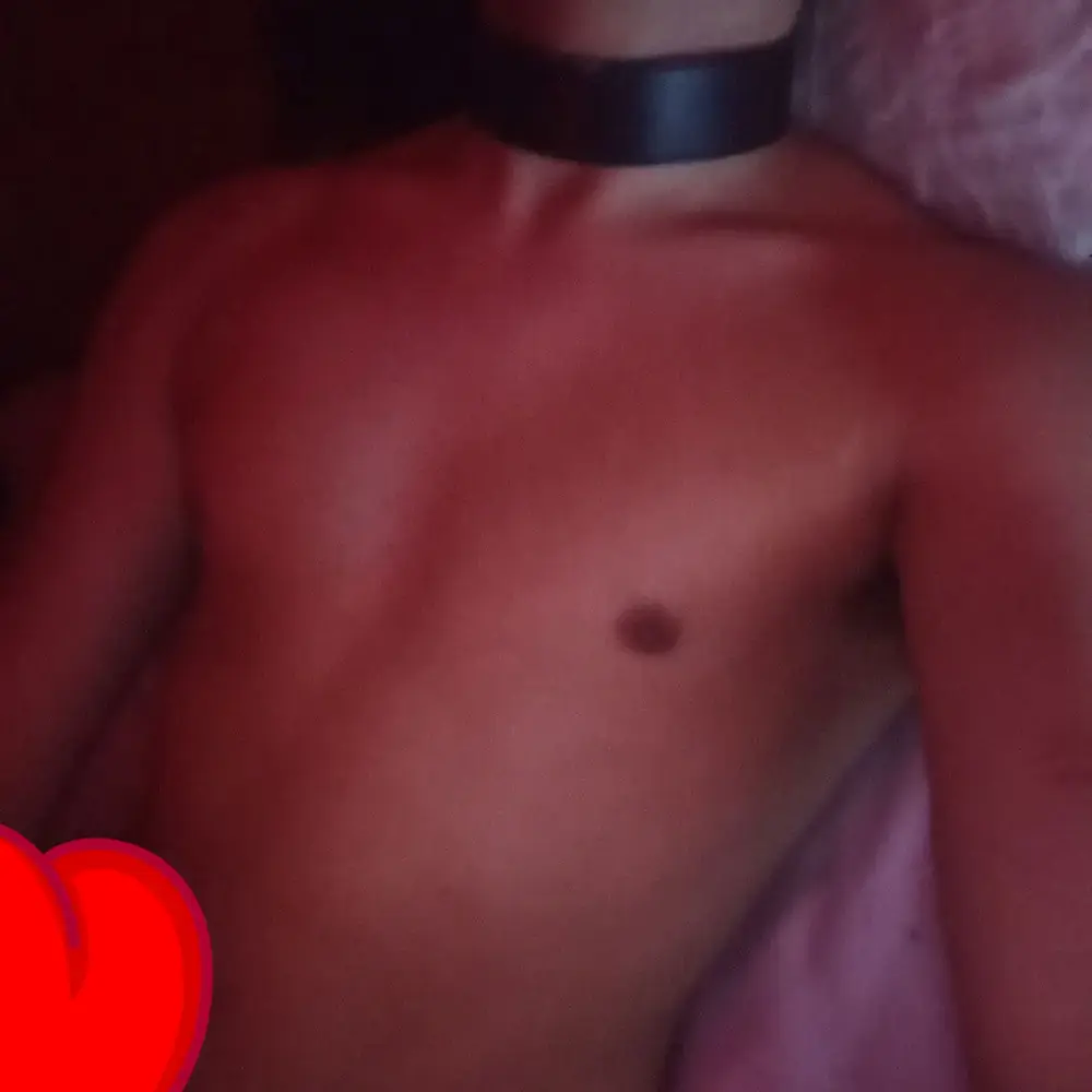 1739600542781.webp
