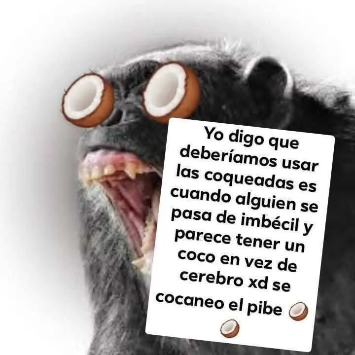 FB_IMG_1745416672209.webp