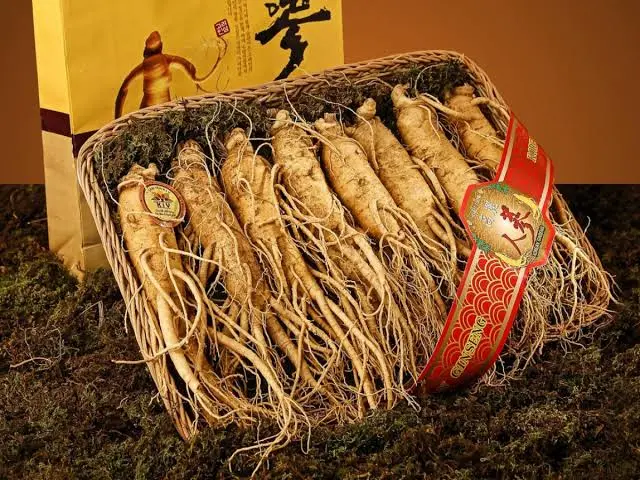 images (13).webp