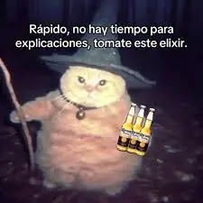 images (14).webp