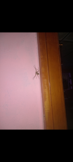 Screenshot_20250119_233439_Gallery.webp