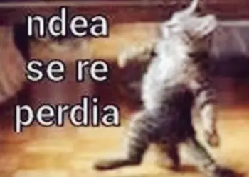 bd6be1ad981276411fd2aba29317d096.webp