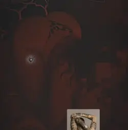 VID-WA0000126.webp