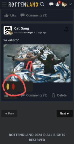 Screenshot_20240218-213426.png