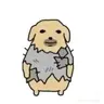 THCrow