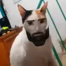 Máquinasexual