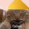 GelZzz