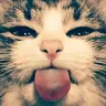 andyxombiezz