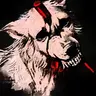Canis Lupus2𓃦