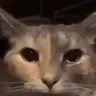 LaPapaLoca