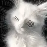 $loppy_