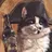 don_jorch