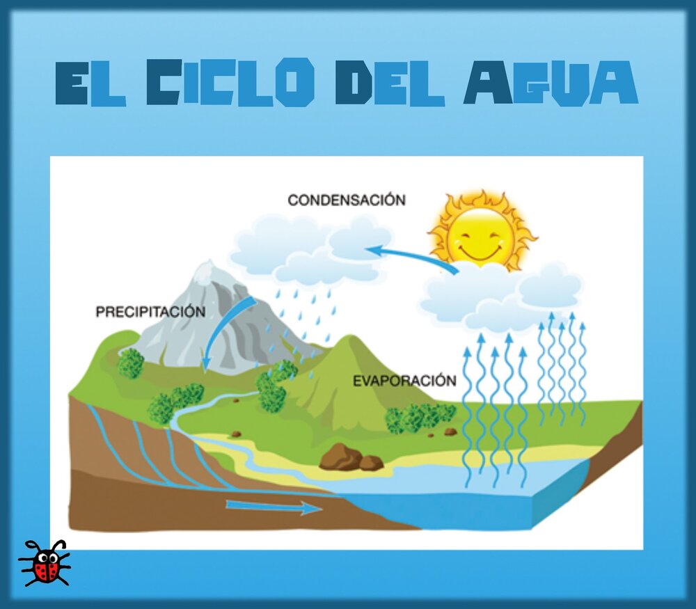 a10 exp ciclo agua1.jpg